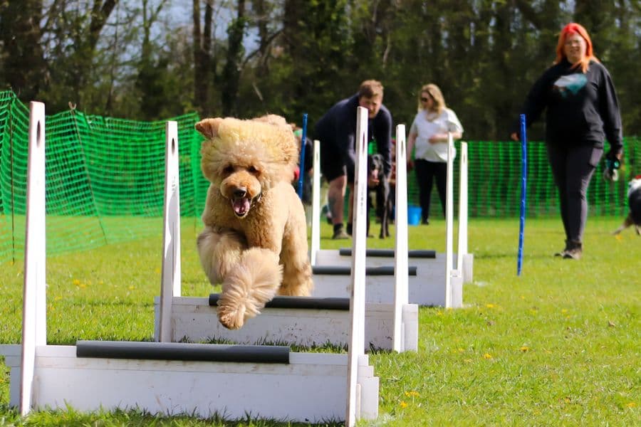 Training Photo 2026