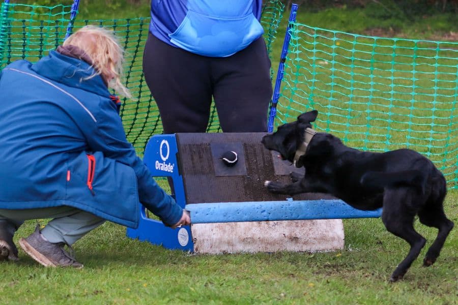 Training Photo 2026