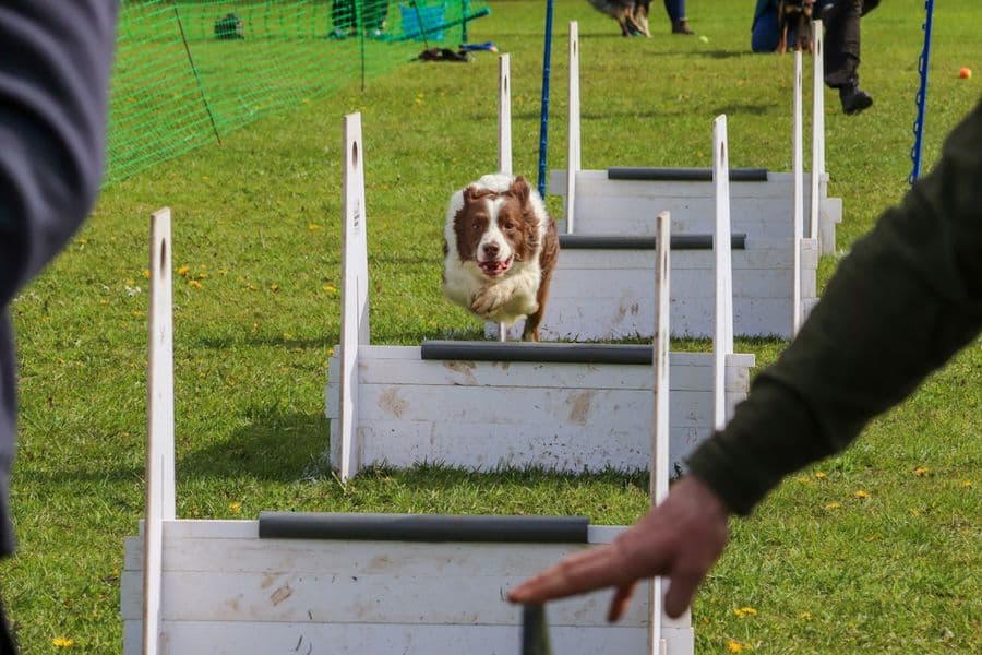 Training Photo 2026