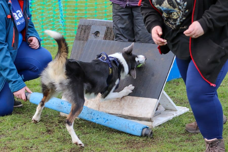 Training Photo 2026