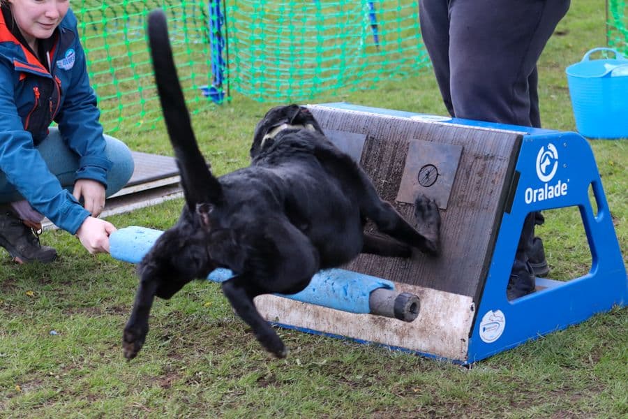 Training Photo 2026