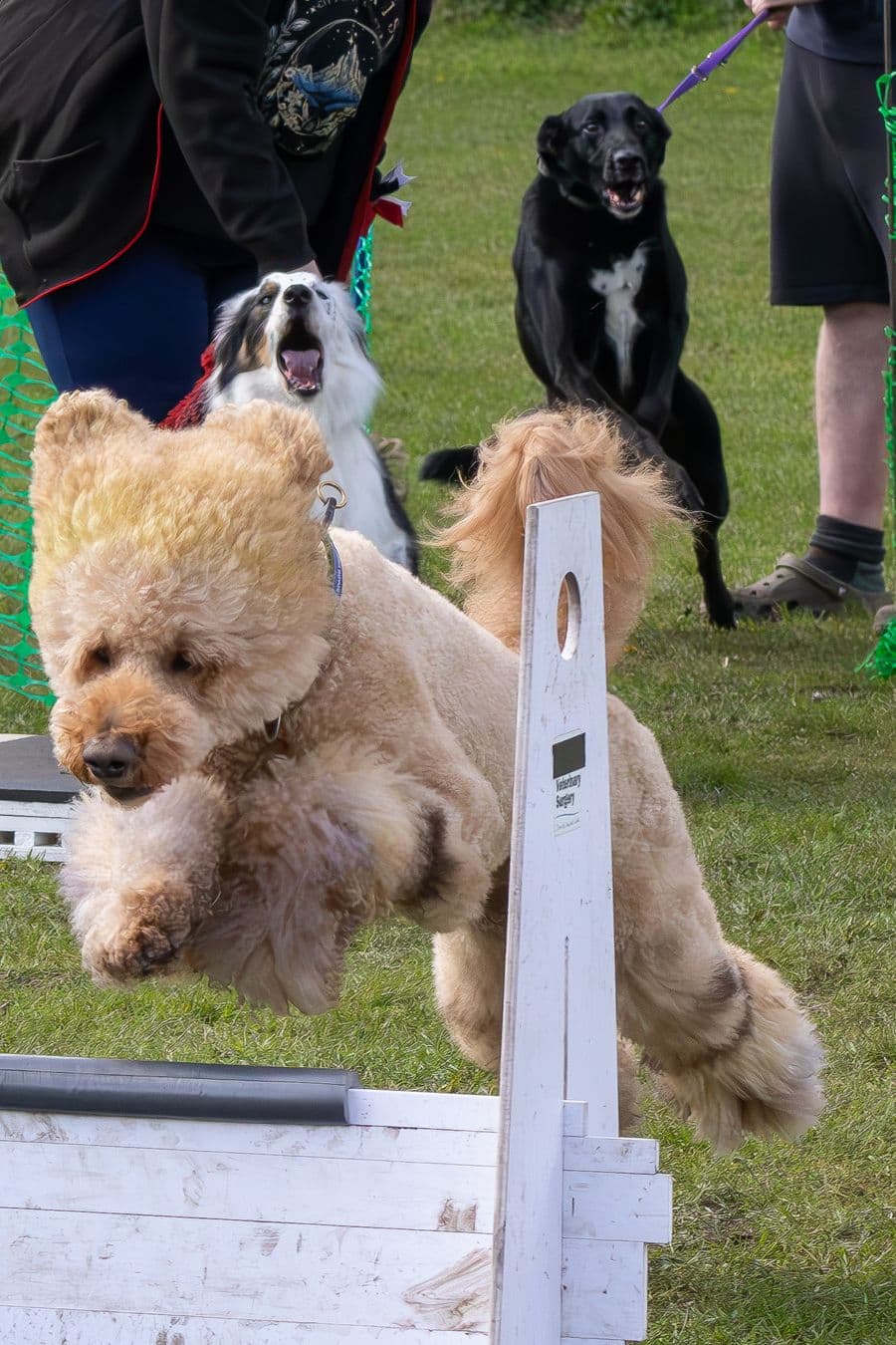 Training Photo 2026