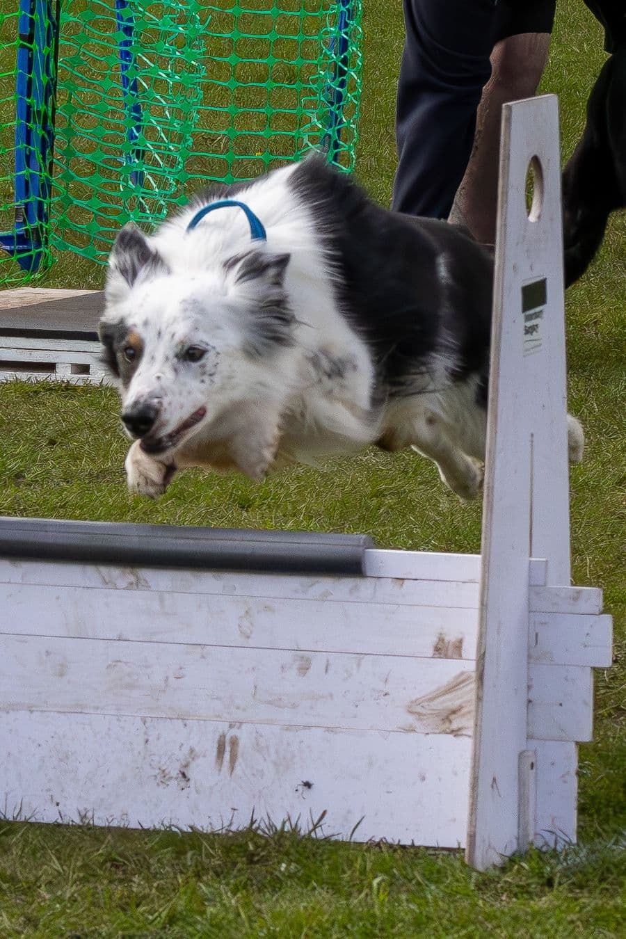 Training Photo 2026