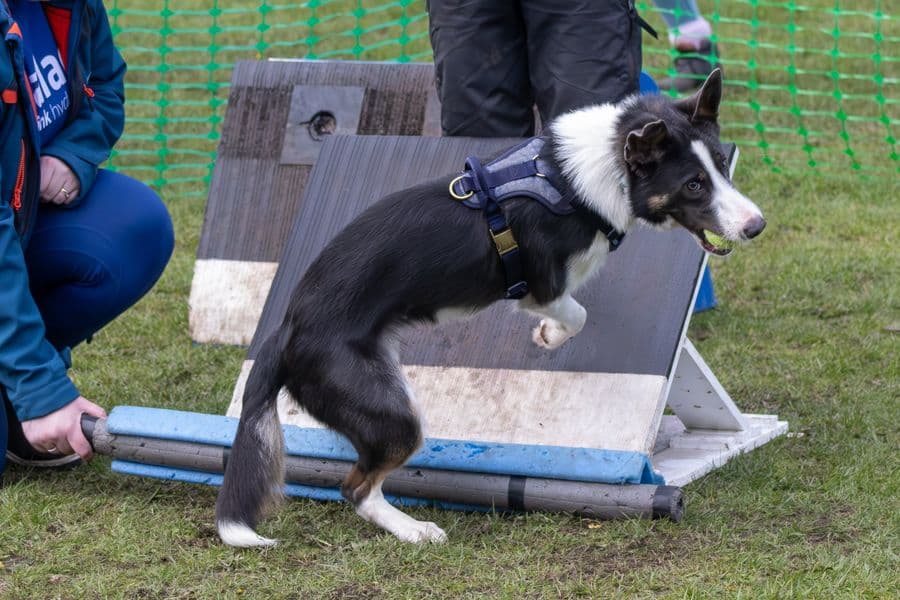 Training Photo 2026
