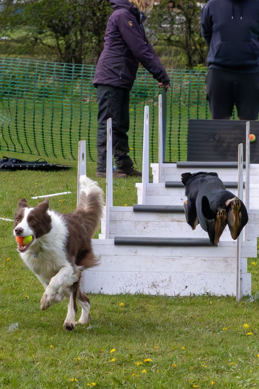 Training Photo 2026