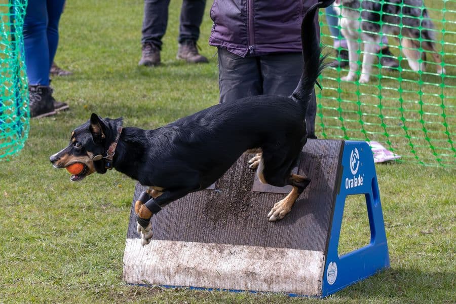 Training Photo 2026