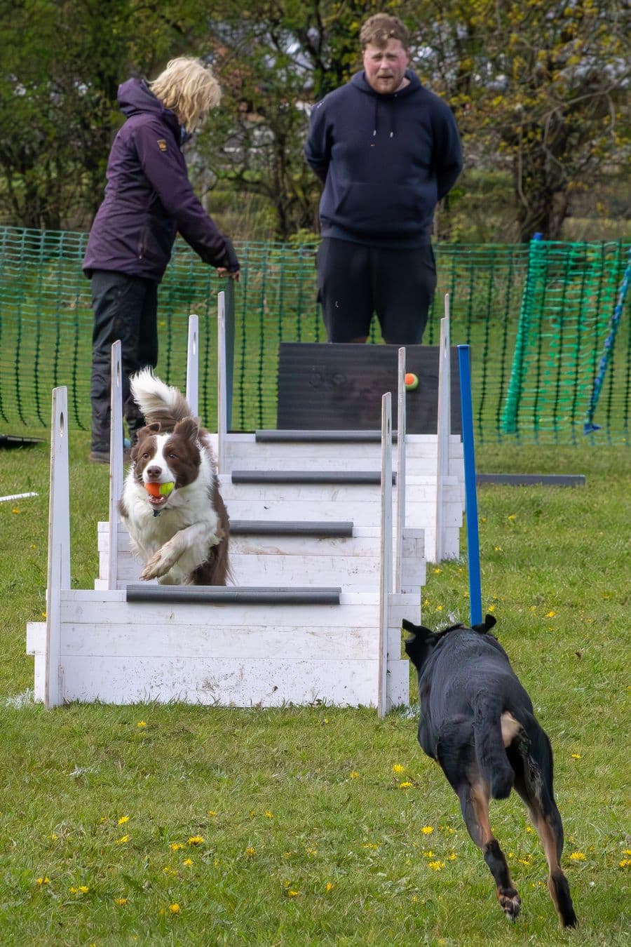 Training Photo 2026