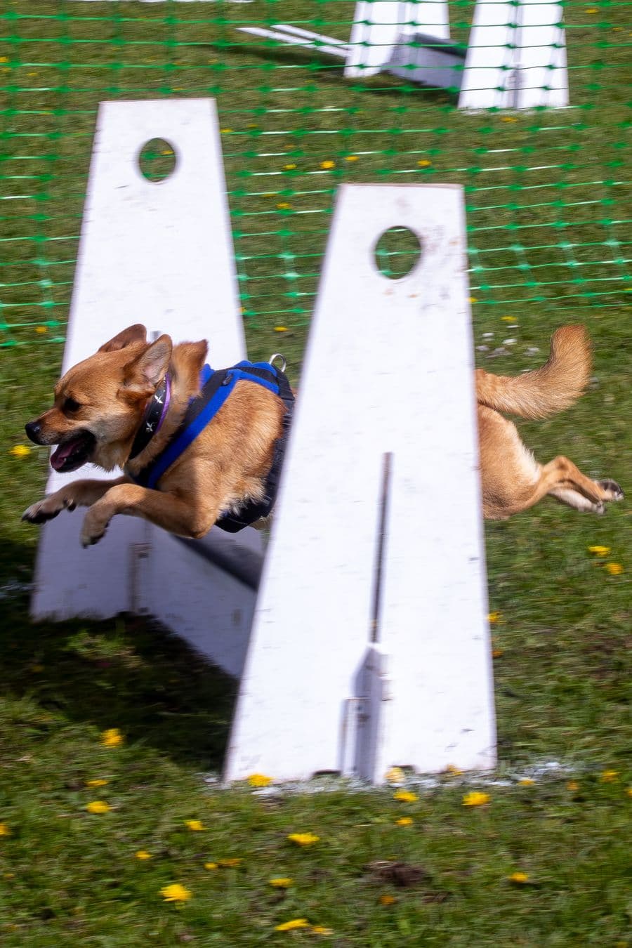 Training Photo 2026