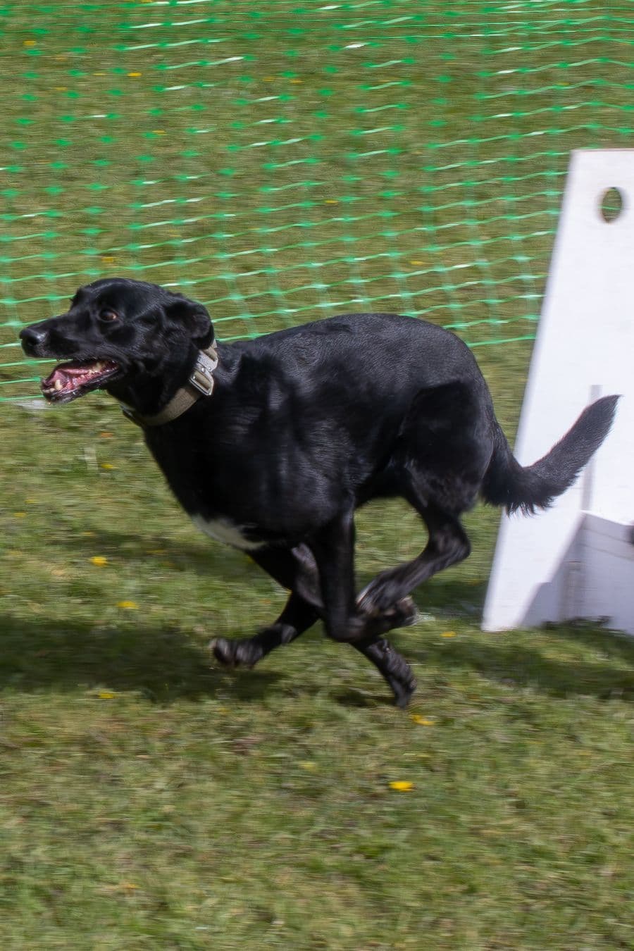 Training Photo 2026