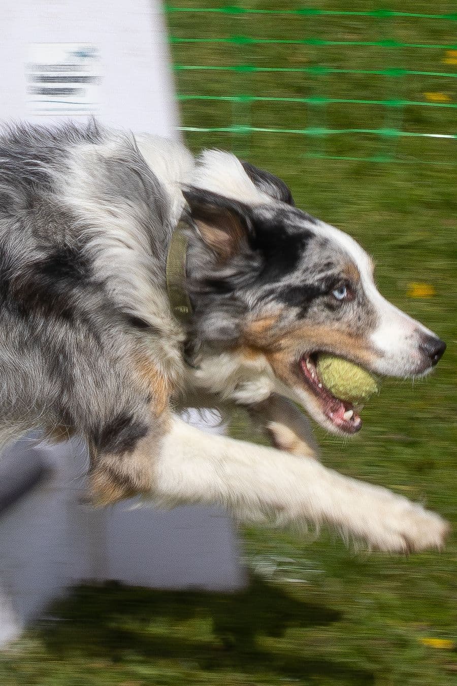 Training Photo 2026