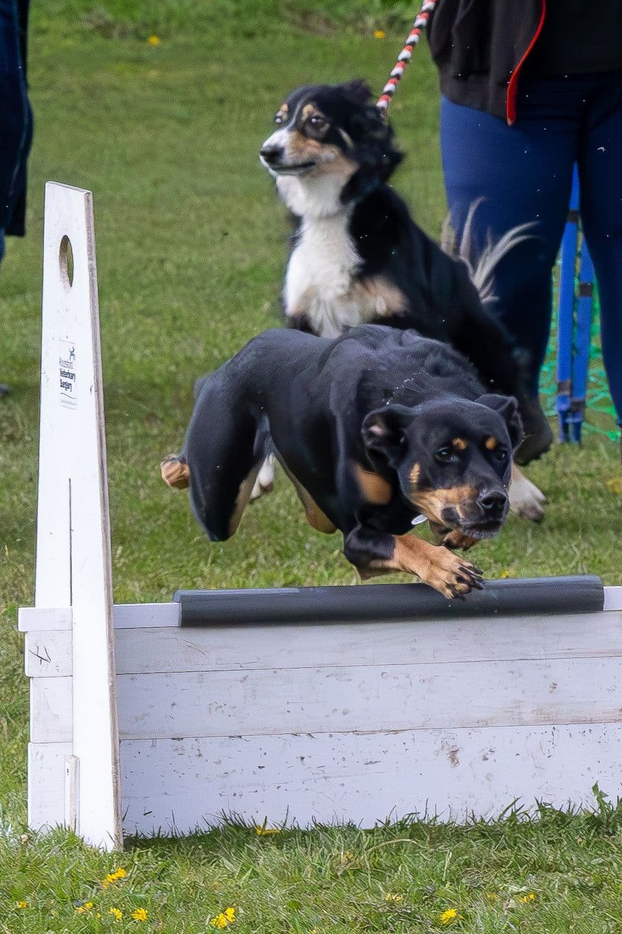 Training Photo 2026