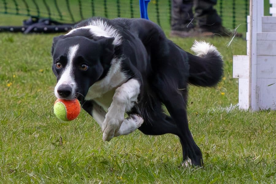 Training Photo 2026