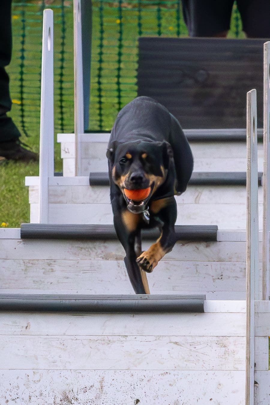 Training Photo 2026