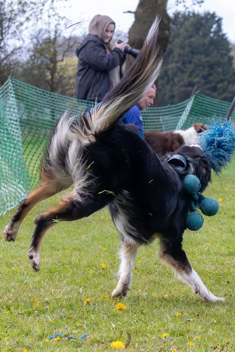 Training Photo 2026