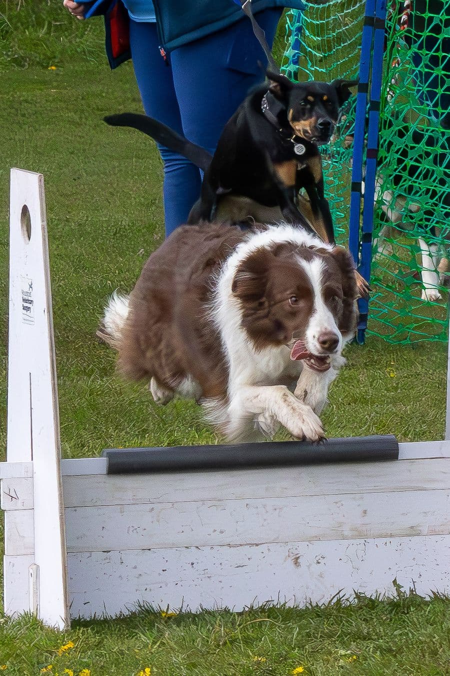 Training Photo 2026
