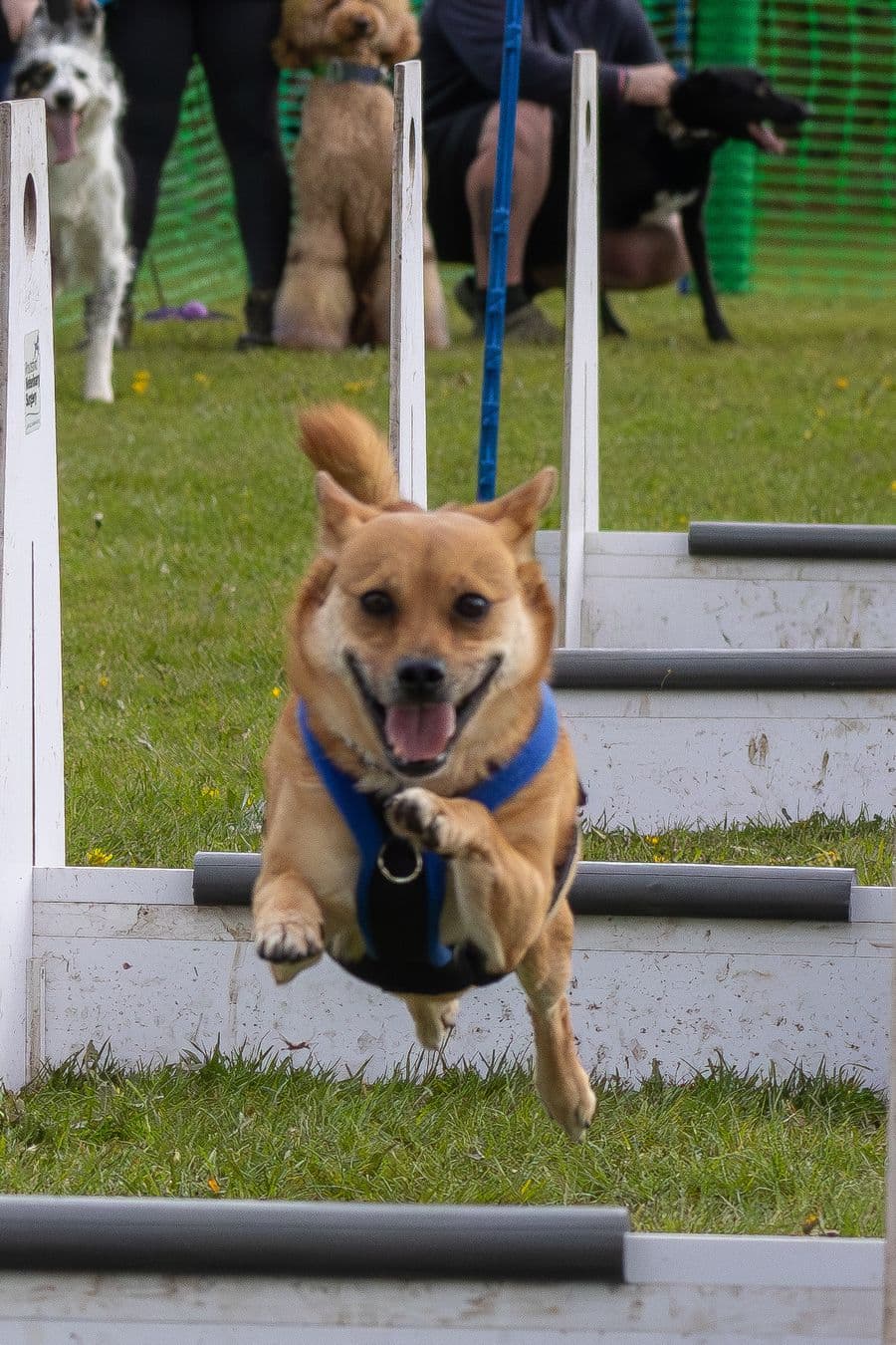 Training Photo 2026