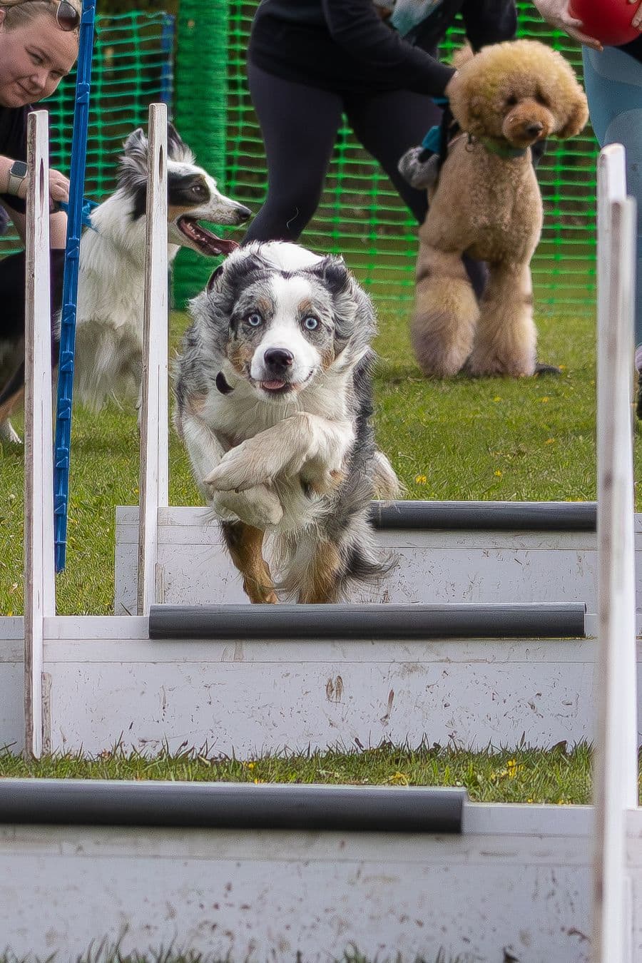 Training Photo 2026