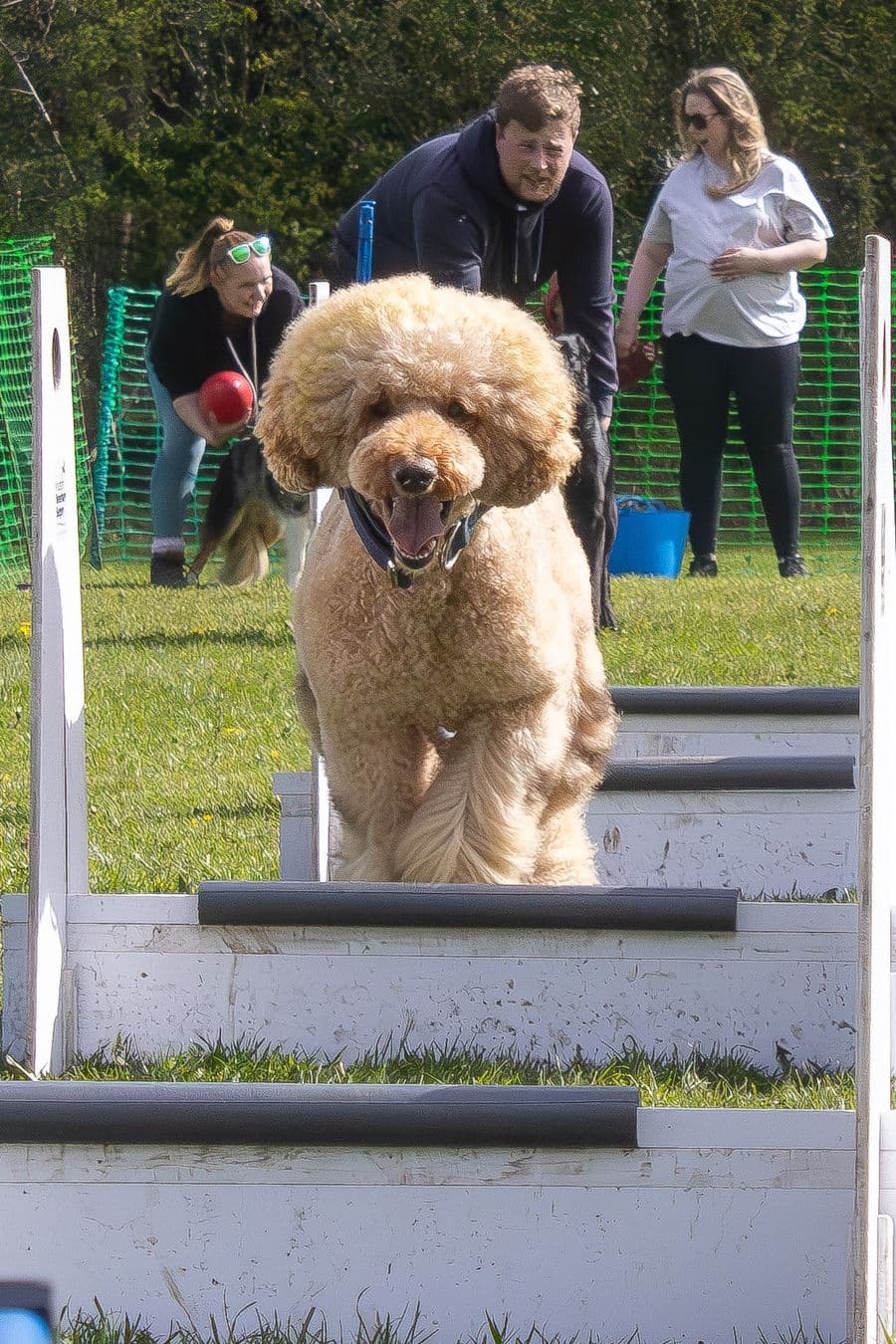 Training Photo 2026
