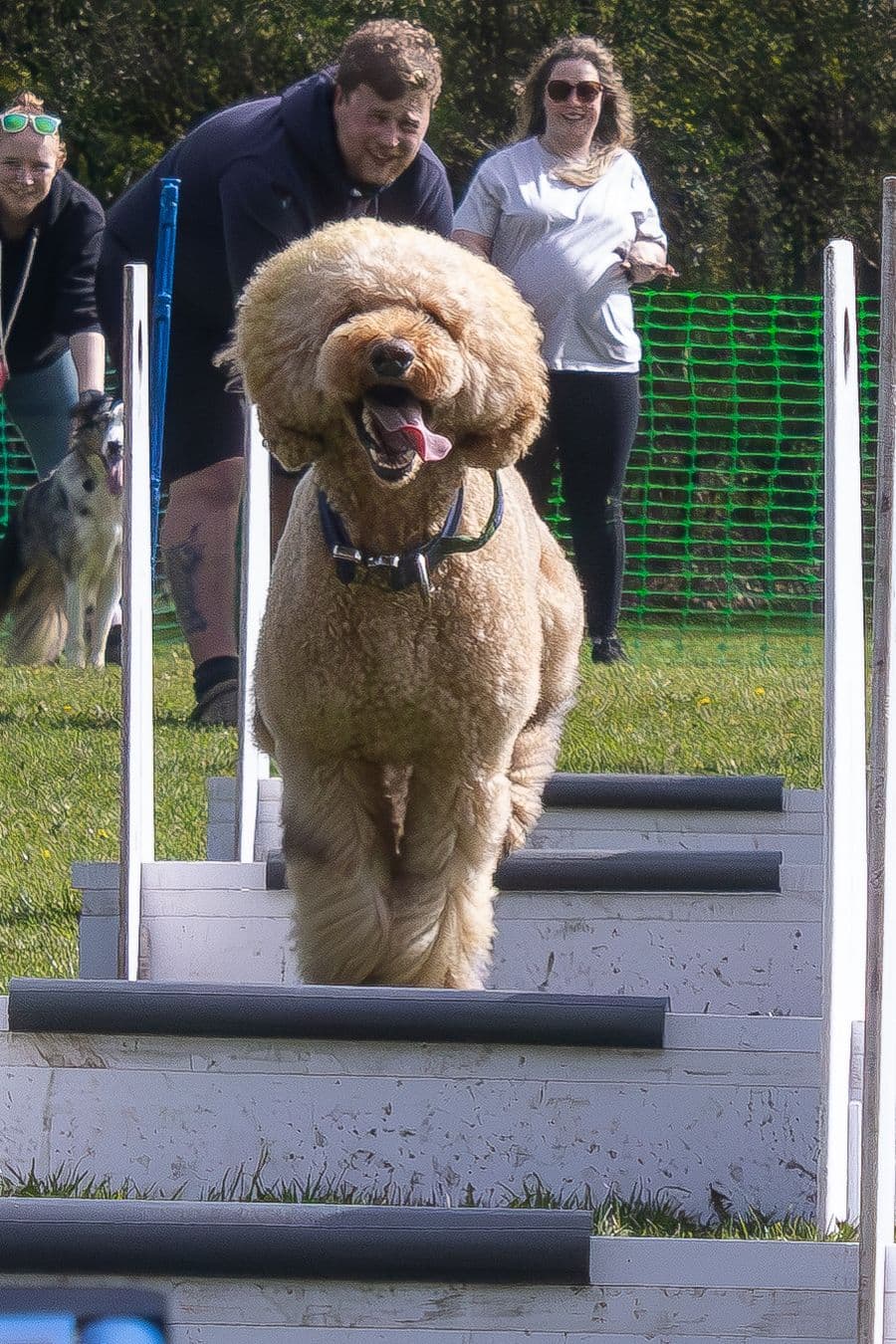 Training Photo 2026