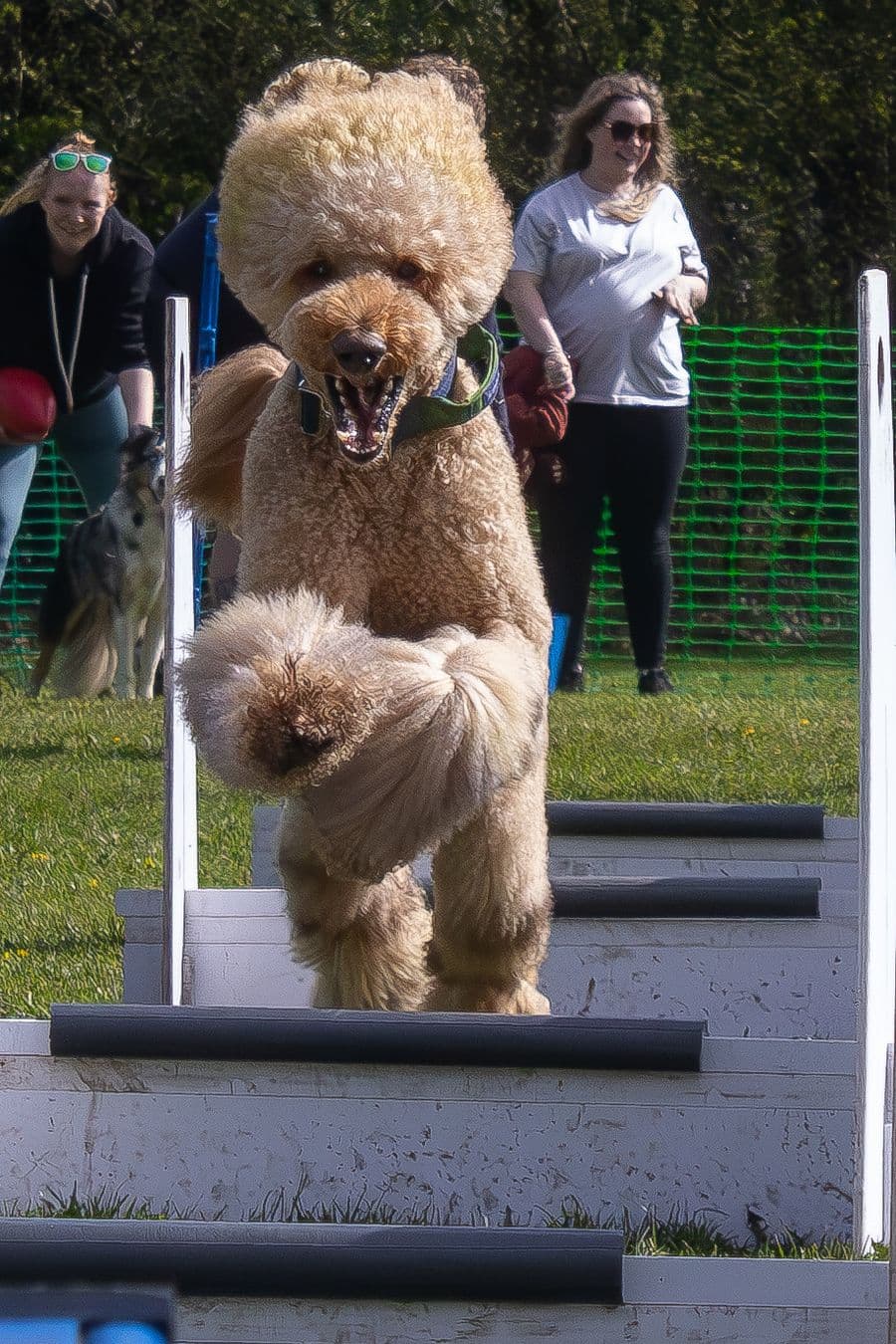 Training Photo 2026