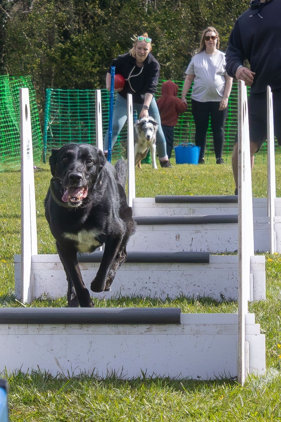 Training Photo 2026