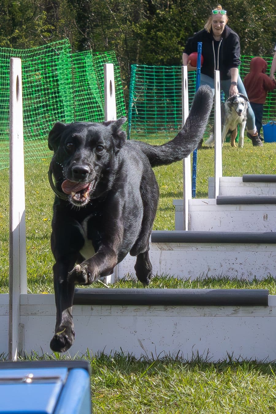 Training Photo 2026