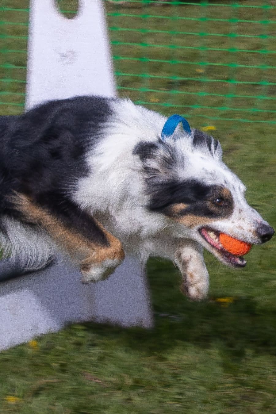 Training Photo 2026