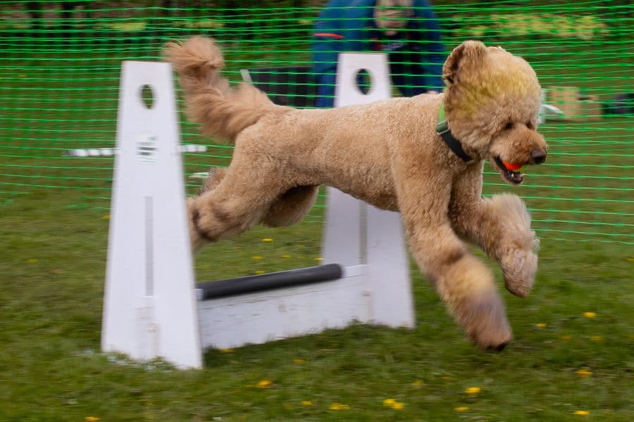 Training Photo 2026