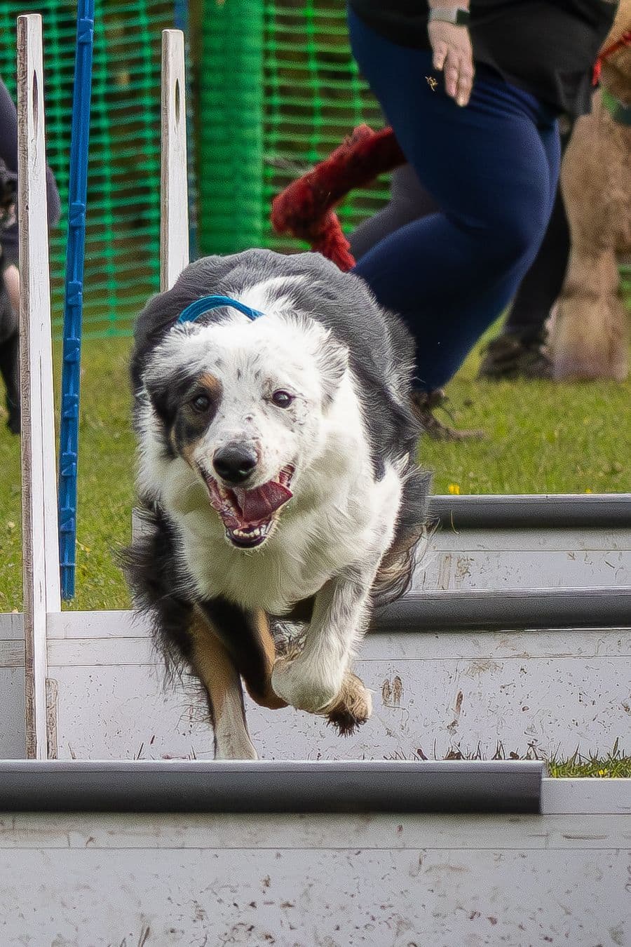 Training Photo 2026