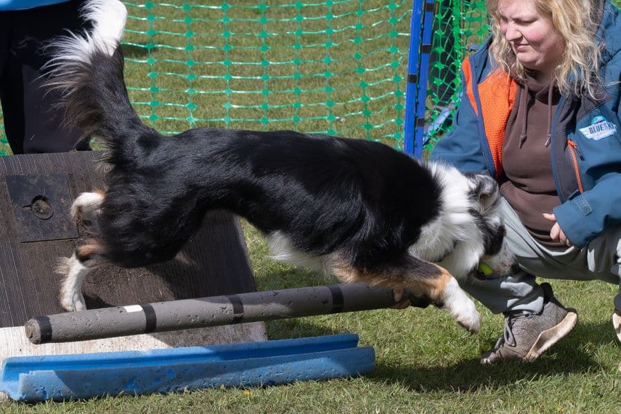 Training Photo 2026