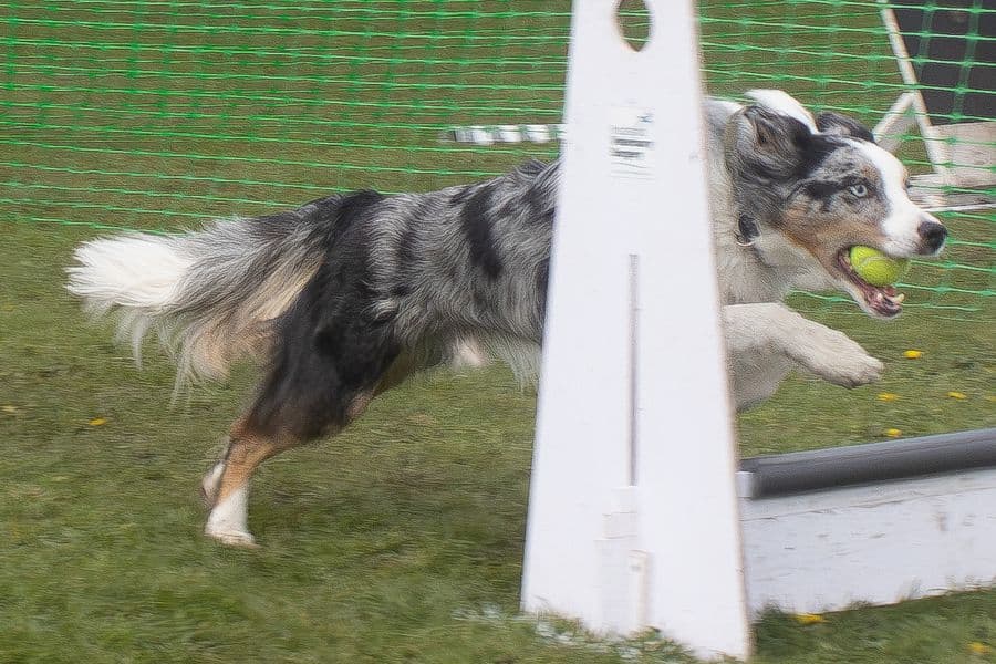 Training Photo 2026