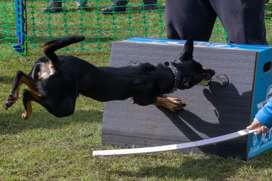 Training Photo 2026