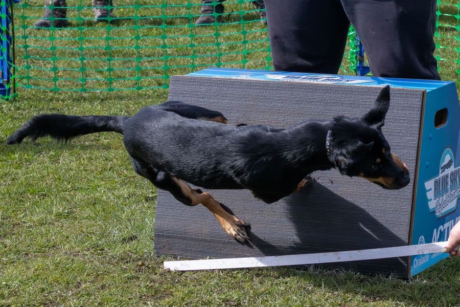 Training Photo 2026