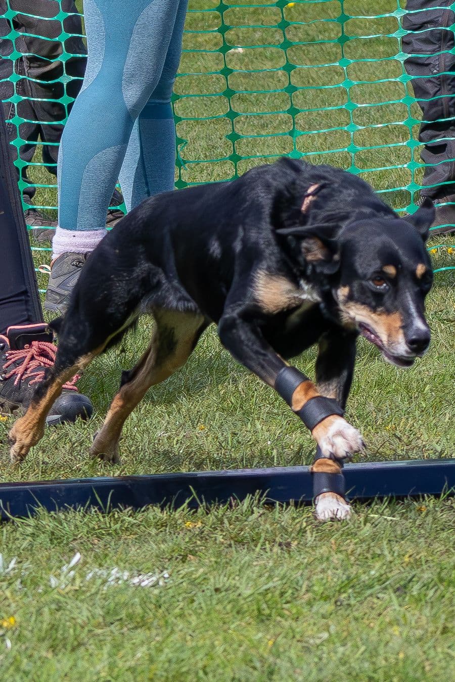 Training Photo 2026
