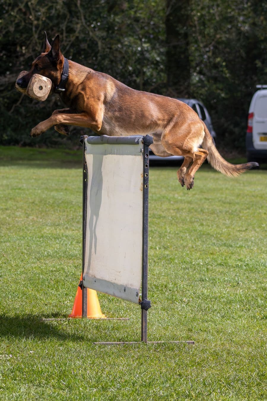 Training Photo 2026