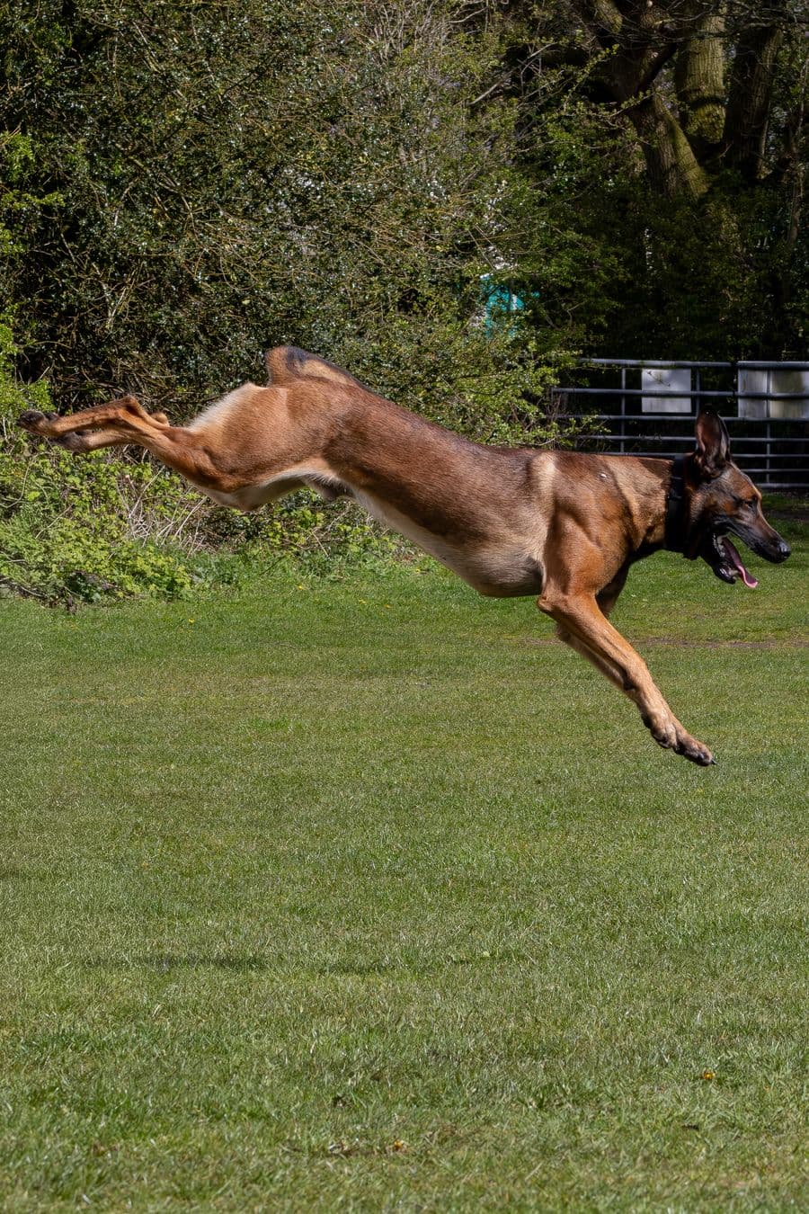 Training Photo 2026