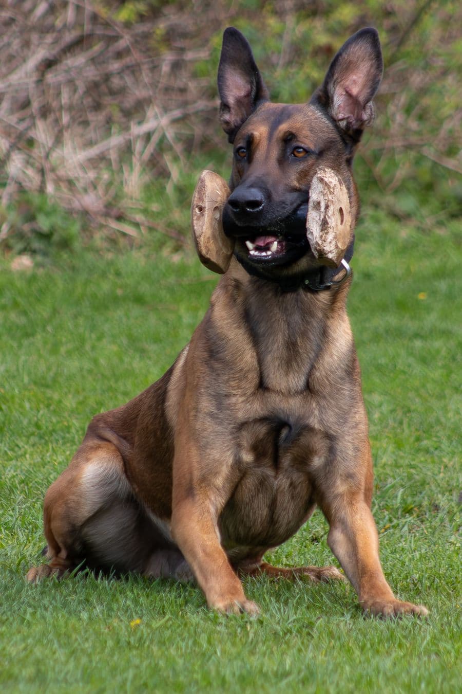 Training Photo 2026