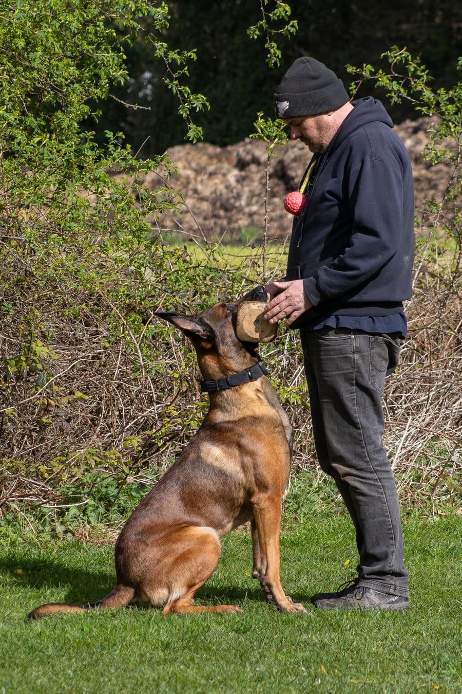 Training Photo 2026