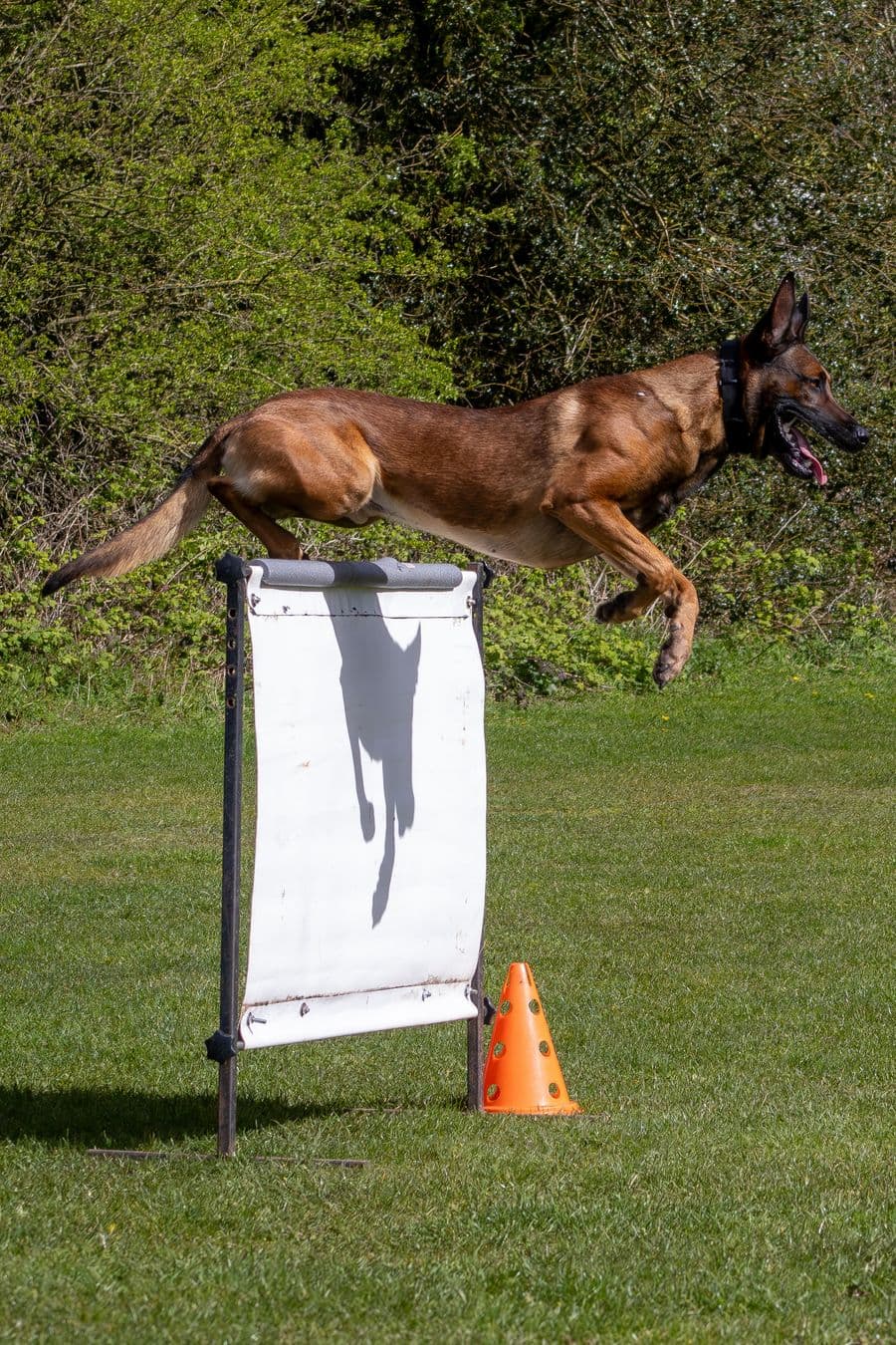 Training Photo 2026