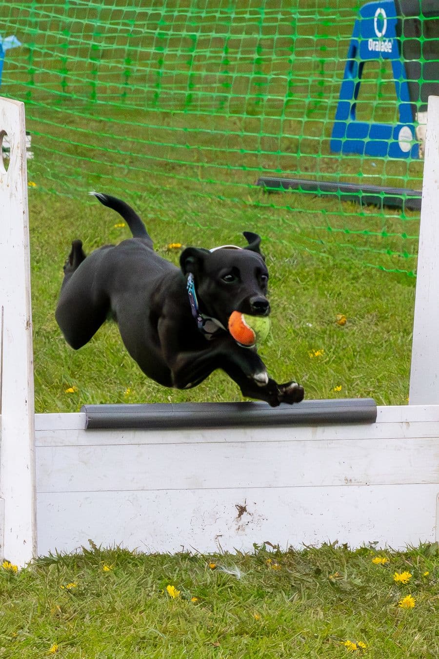Training Photo 2026