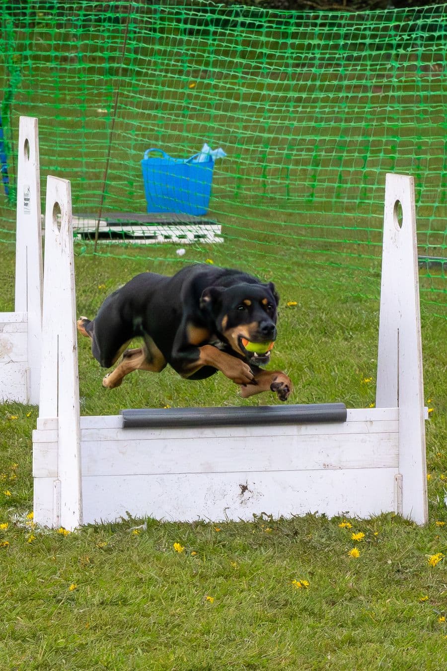 Training Photo 2026