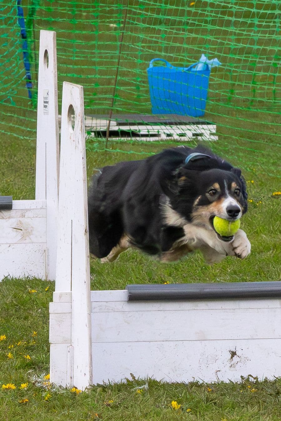 Training Photo 2026