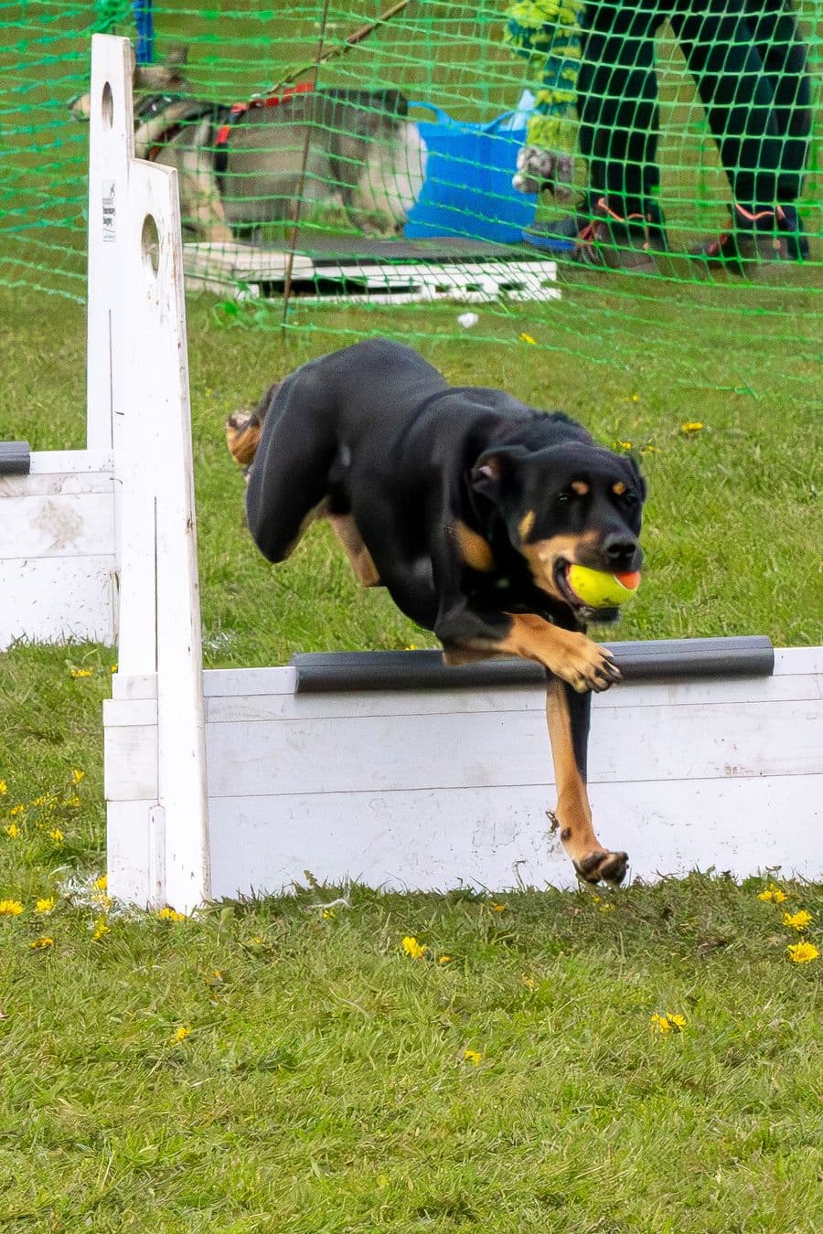 Training Photo 2026