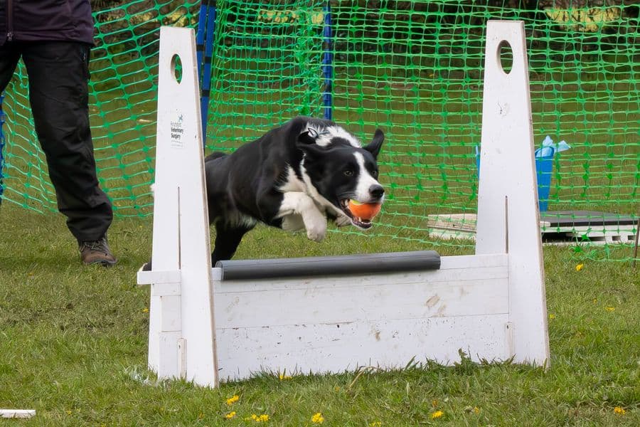 Training Photo 2026
