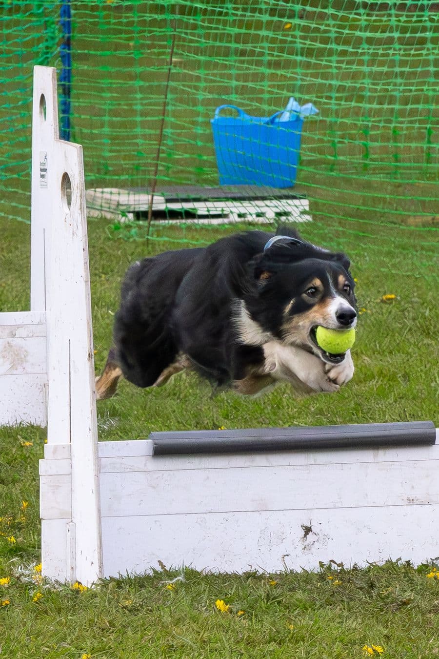 Training Photo 2026